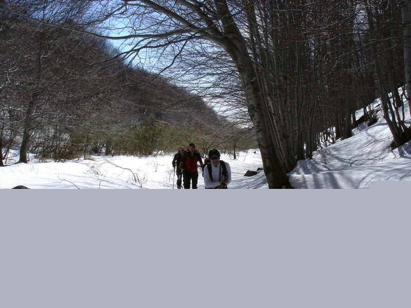 dsc06235.jpg