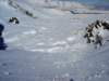 dsc06254_small.jpg