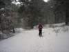 dsc06268_small.jpg