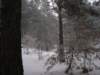dsc06269_small.jpg