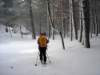 dsc06270_small.jpg