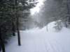 dsc06273_small.jpg