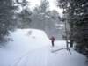 dsc06274_small.jpg