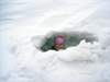 dsc06276_small.jpg