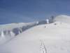 dsc06316_small.jpg