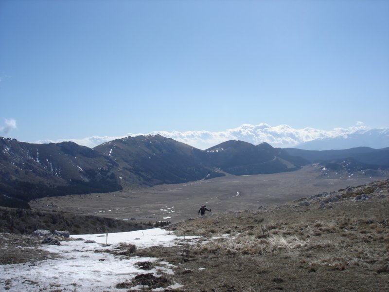 dsc06371.jpg
