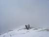 dsc06385_small.jpg