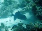 dsc06393_small.jpg
