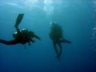 dsc06394_small.jpg