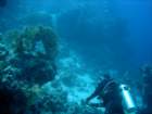dsc06395_small.jpg