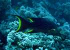 dsc06397_small.jpg