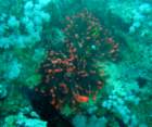 dsc06398_small.jpg