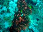dsc06399_small.jpg