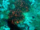 dsc06400_small.jpg