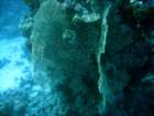 dsc06403_small.jpg