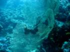 dsc06412_small.jpg