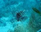 dsc06415_small.jpg