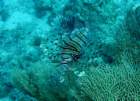 dsc06416_small.jpg