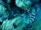 dsc06417_small.jpg