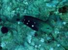 dsc06420_small.jpg