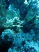 dsc06422_small.jpg