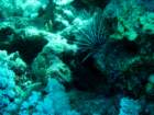 dsc06423_small.jpg