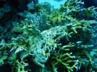 dsc06424_small.jpg