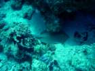 dsc06427_small.jpg