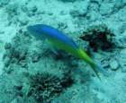 dsc06429_small.jpg