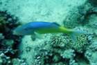 dsc06430_small.jpg