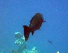 dsc06434_small.jpg