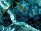 dsc06440_small.jpg