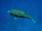 dsc06441_small.jpg
