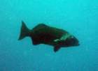 dsc06443_small.jpg