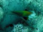 dsc06446_small.jpg