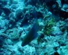 dsc06448_small.jpg