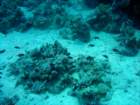 dsc06450_small.jpg