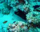 dsc06451_small.jpg