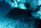 dsc06452_small.jpg