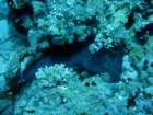 dsc06454_small.jpg