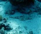 dsc06455_small.jpg