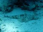 dsc06456_small.jpg