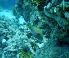 dsc06457_small.jpg