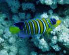 dsc06458_small.jpg