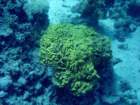 dsc06459_small.jpg