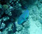 dsc06460_small.jpg
