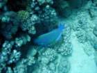 dsc06461_small.jpg