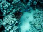 dsc06463_small.jpg