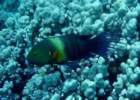 dsc06464_small.jpg
