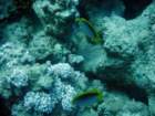 dsc06467_small.jpg